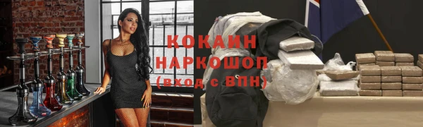 хмурый Абаза