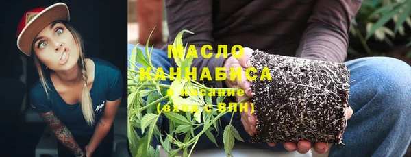 mdpv Инсар