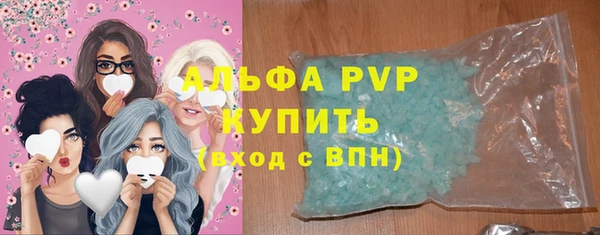 хмурый Абаза
