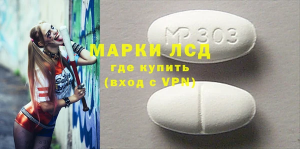 сатива Новодвинск