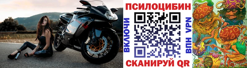 Псилоцибиновые грибы GOLDEN TEACHER  blacksprut маркетплейс  Ильский 