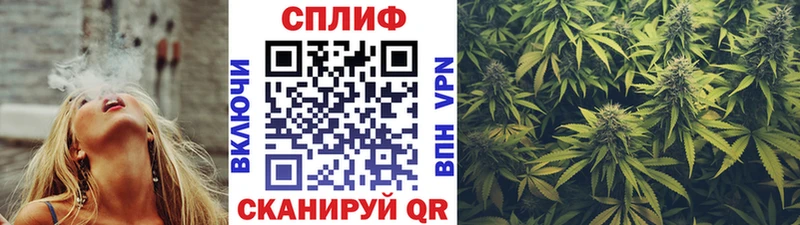 Каннабис гибрид  Ильский 